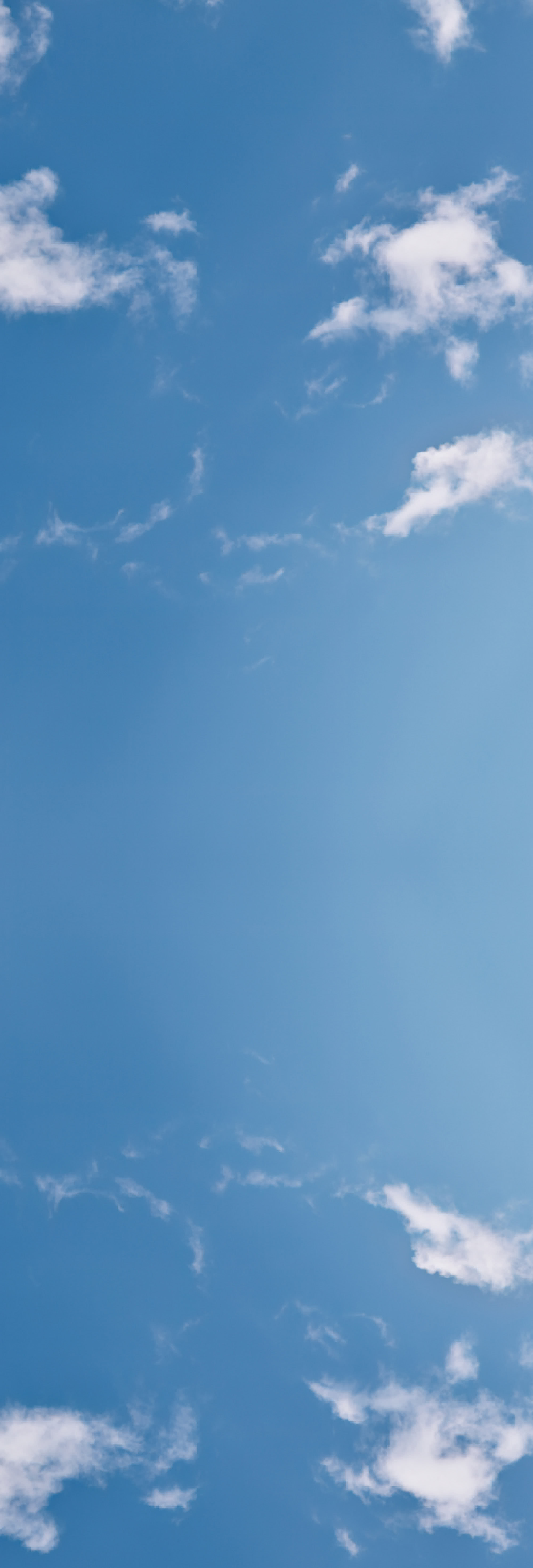 3.17-3.25 春日亮顏節