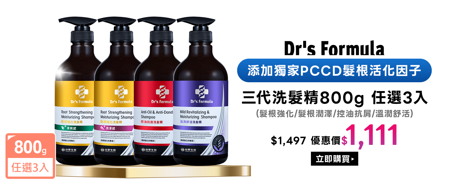 本月熱銷主打