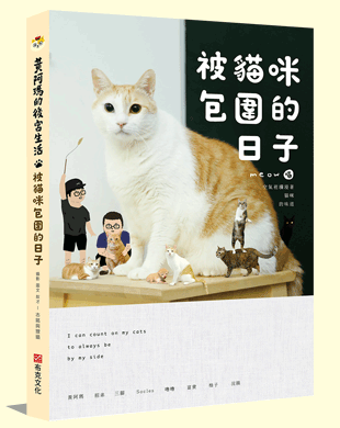 被貓咪包圍的日子