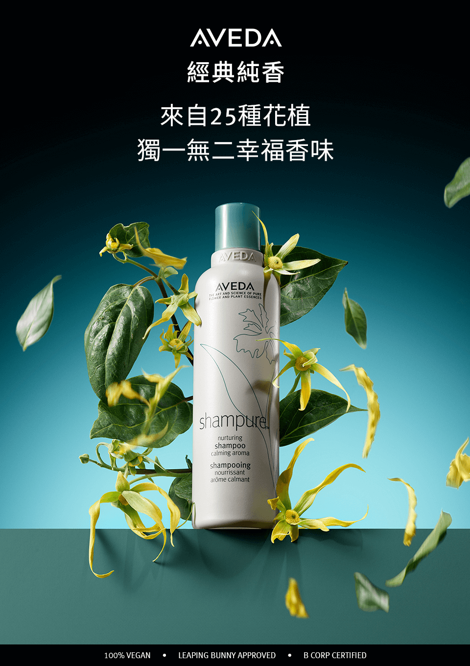 純香系列