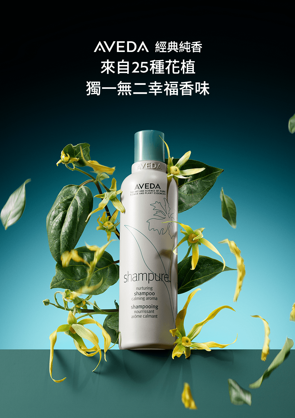 經典純香系列