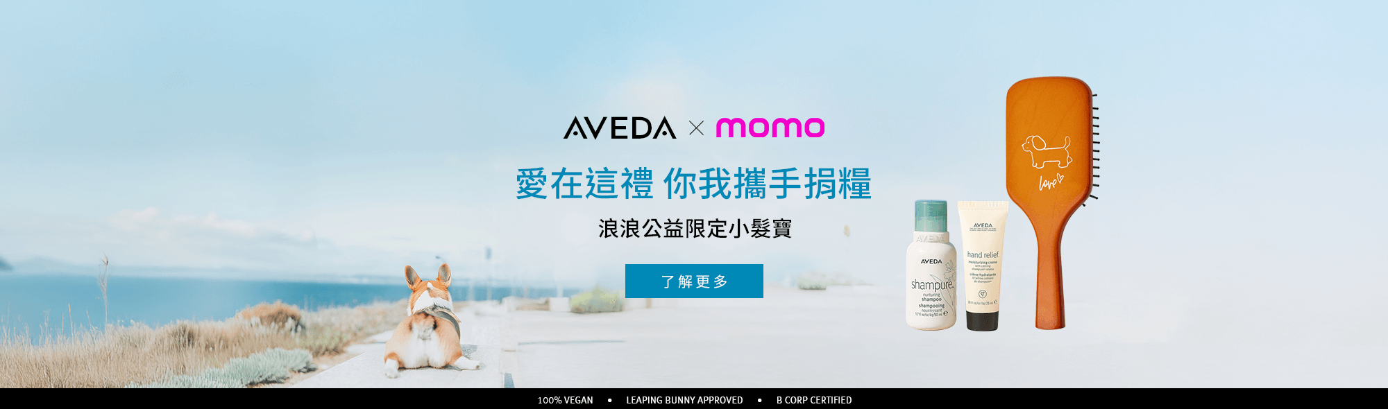 浪浪公益限定小髮寶