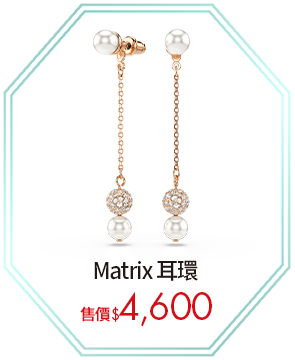Matrix 耳環