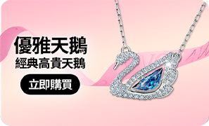 優雅天鵝