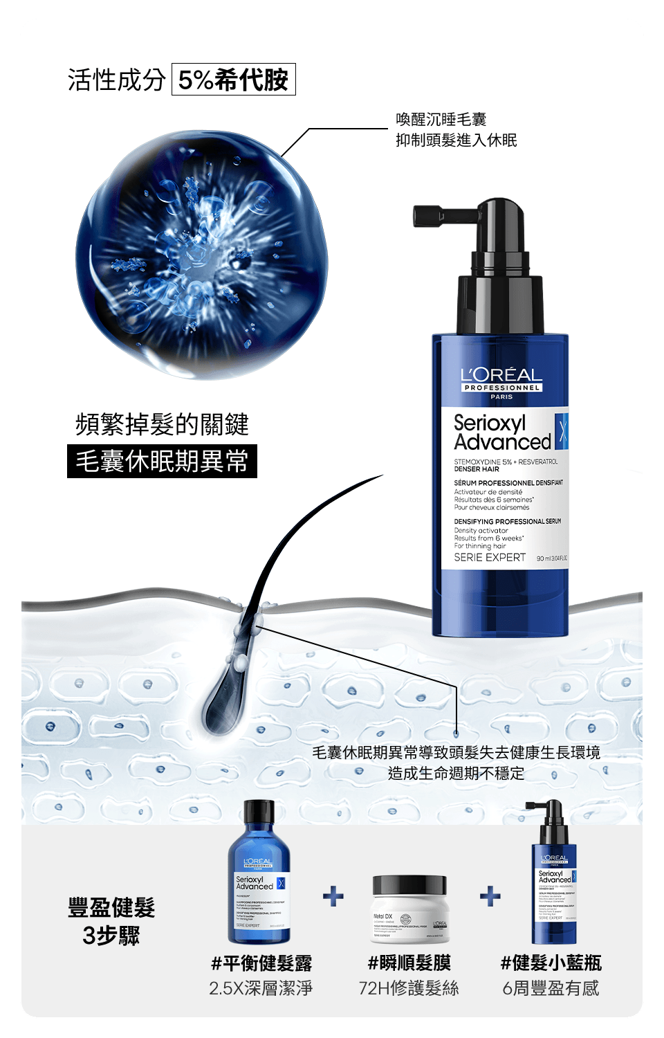 頻繁掉髮的關鍵 毛囊休眠期異常