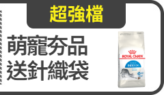 活動