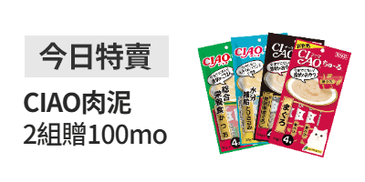 活動