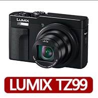 【Panasonic 國際牌】LUMIX DC-TZ99(公司貨)
