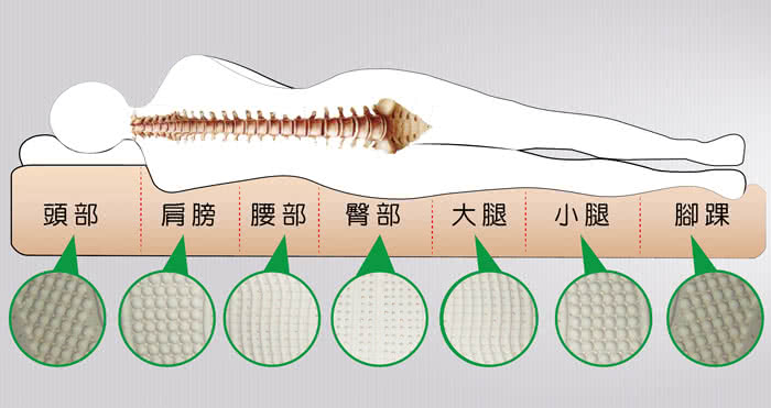 【House Door】天絲布套七段式乳膠床墊5cm(雙人)