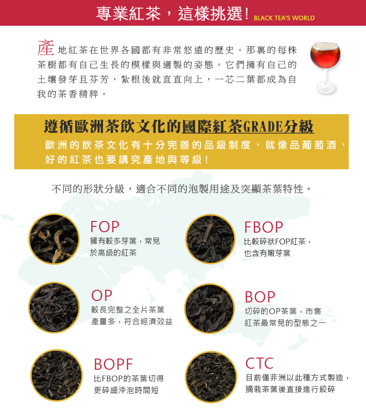 專業紅茶,這樣挑選BLACK TEAS WORLD