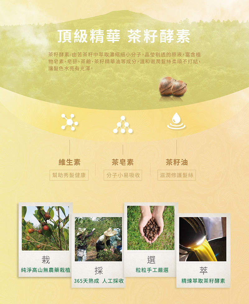 物皂素、皂苷、茶鹼、茶籽精華油等成分,溫和滋潤髮絲柔順不打結,