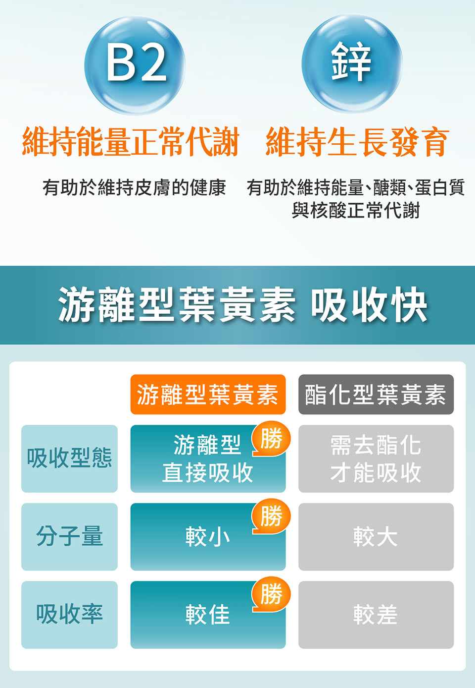 有助於維持皮膚的健康有助於維持能量、醣類、蛋白質
