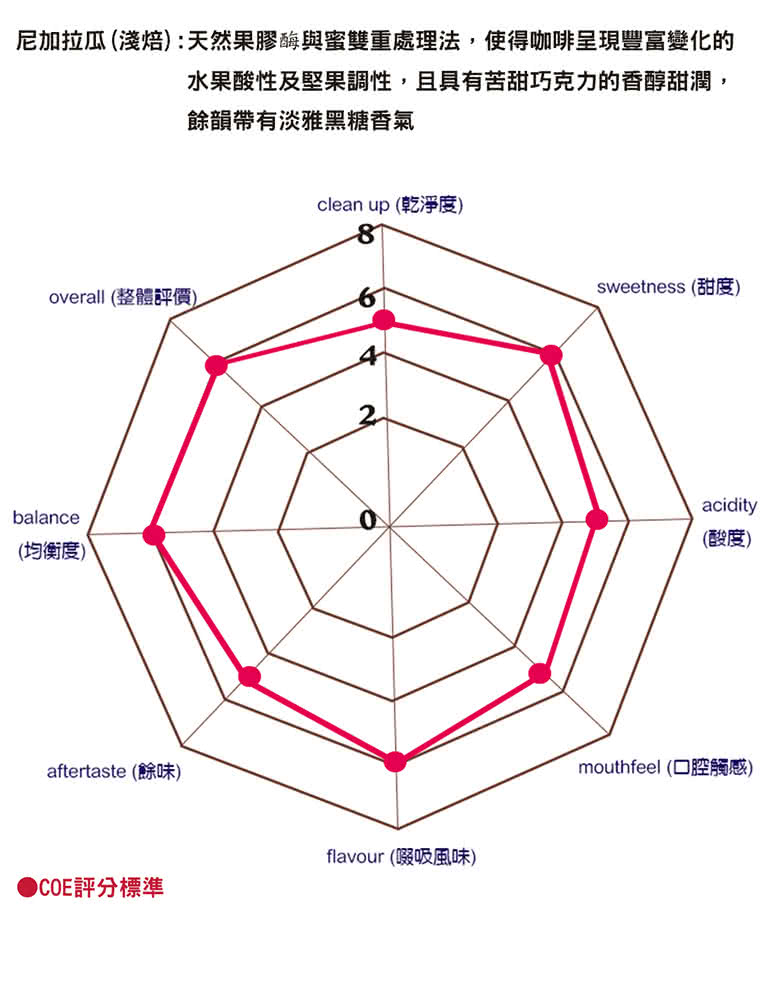 【Casa卡薩】頂級莊園 尼加拉瓜 濾掛式咖啡 6入