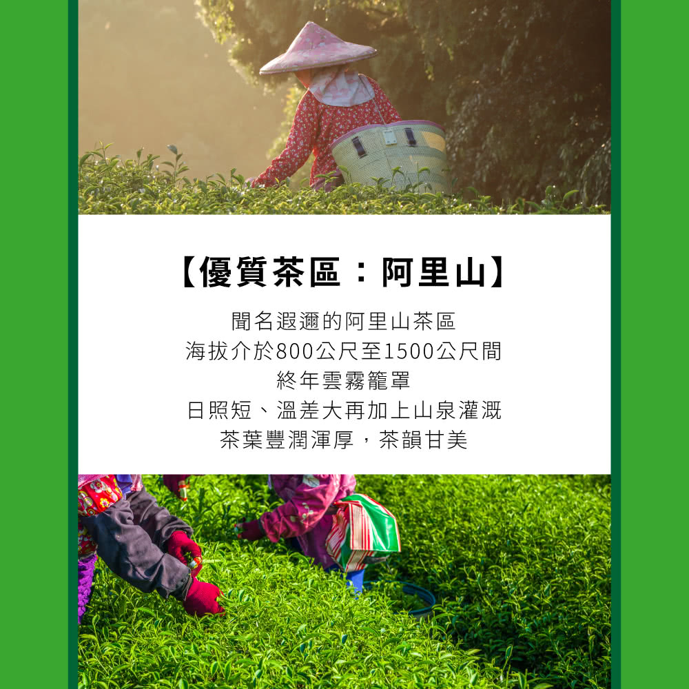 海拔介於800公尺至1500公尺間