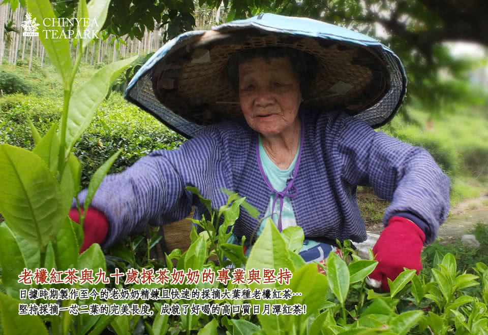 老欉紅茶與九十歲採茶奶奶的專業與堅持 日據時期製作至今的老奶奶精鍊且快速的採摘大葉種老欉紅茶 堅持採摘一芯二葉的完美長度,成就了好喝的高回質日月潭紅茶和 