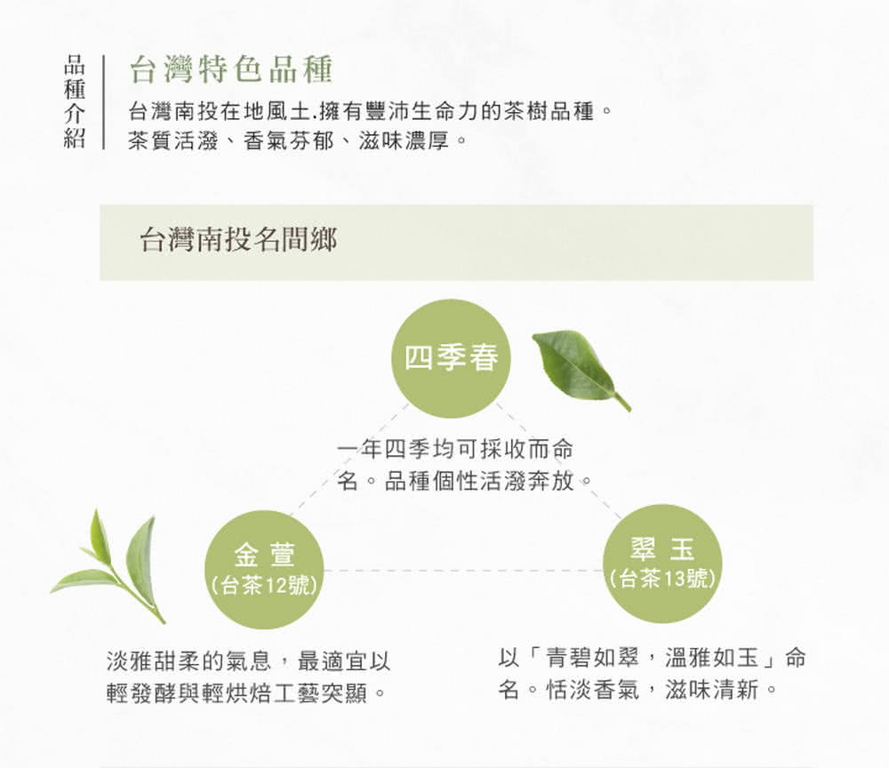 台灣南投在地風土,擁有豐沛生命力的茶樹品種。
