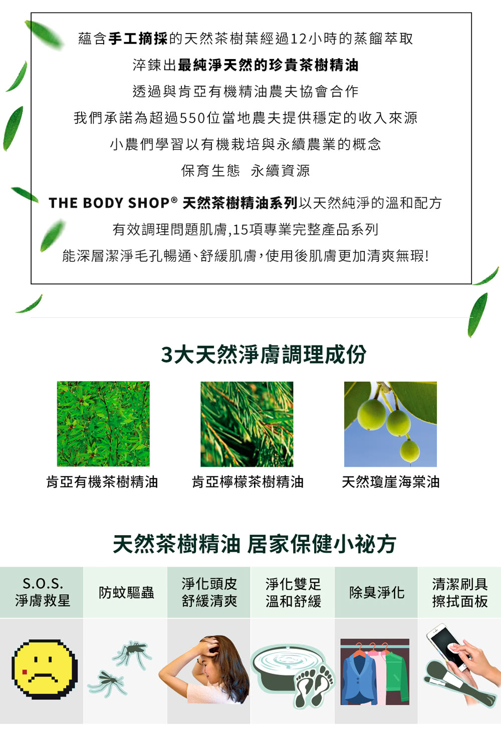 Momo購物網推薦的 The Body Shop 茶樹抗瑕淨膚晚安凍膜 75ml 優惠特價850元 網購編號 4895708