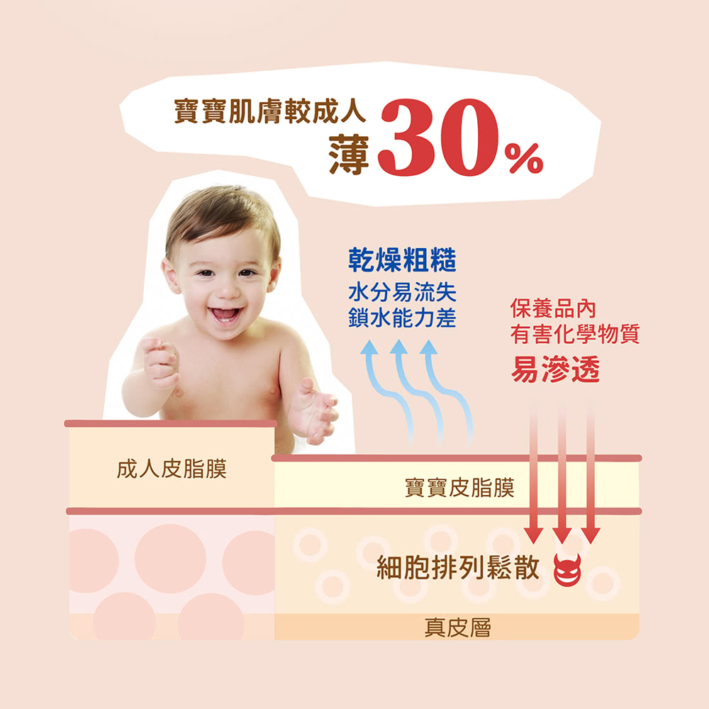 % 細胞排列鬆散
