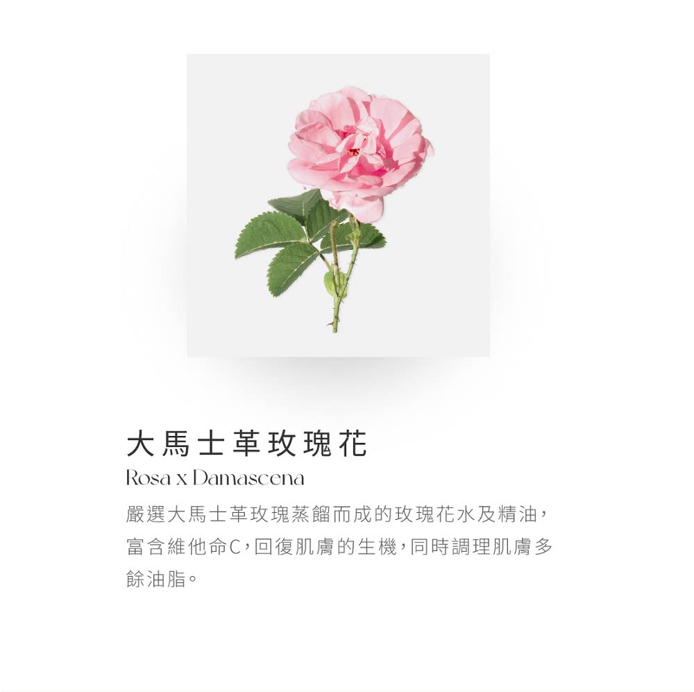 大馬士革玫瑰塊花 嚴選大馬士革攻瑰蒸餾而成的玫瑰花水及精油, 富含維他命C,回復肌膚的生機,同時調理肌膚多 餘油脂。 