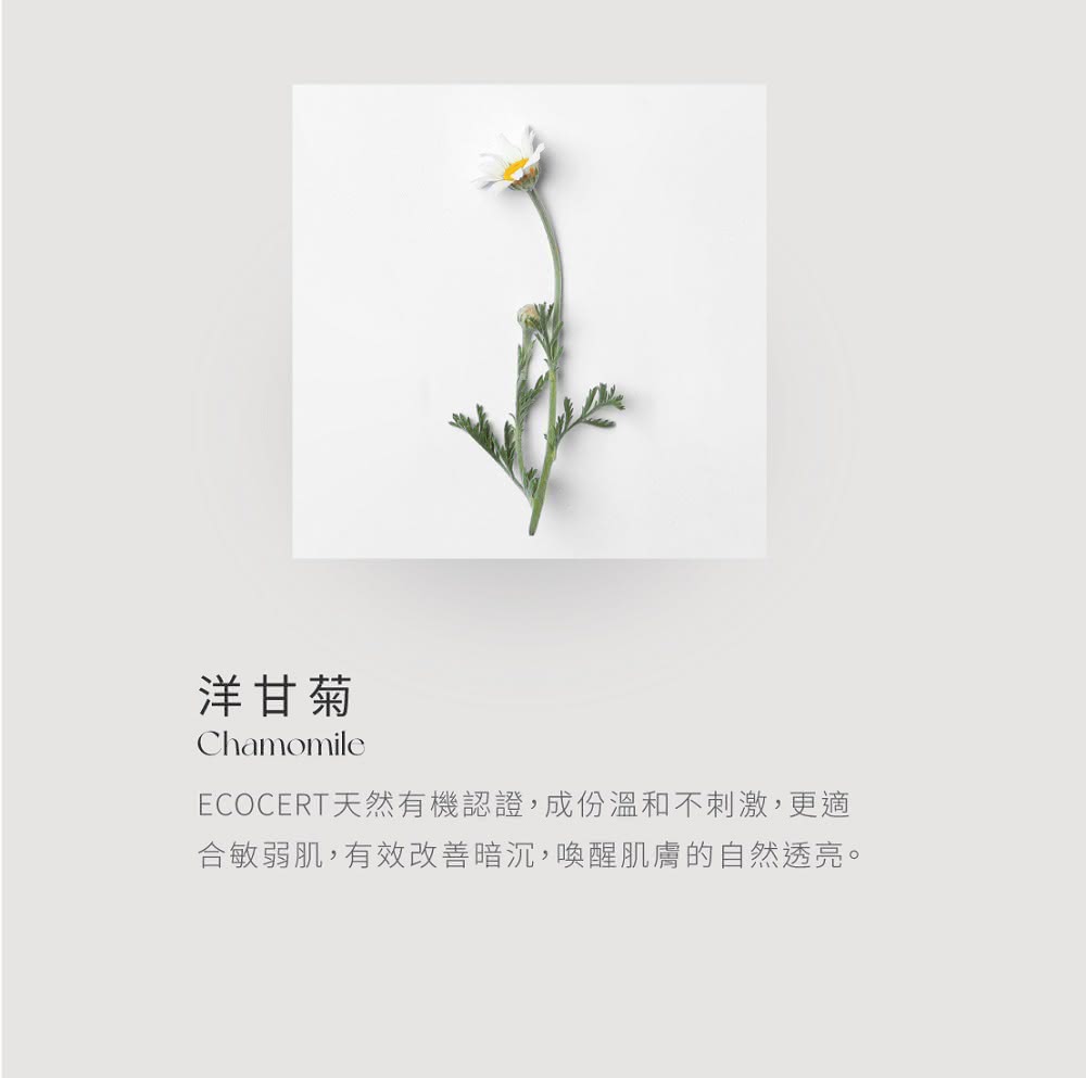 洋甘菊 ECOCERT天然有機認證,成份溫和不刺激,更適 合敏弱肌,有效改善暗沉,喚醒肌膚的自然透亮。 