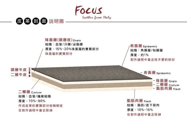 厚度15%20%珠面層的實質部分