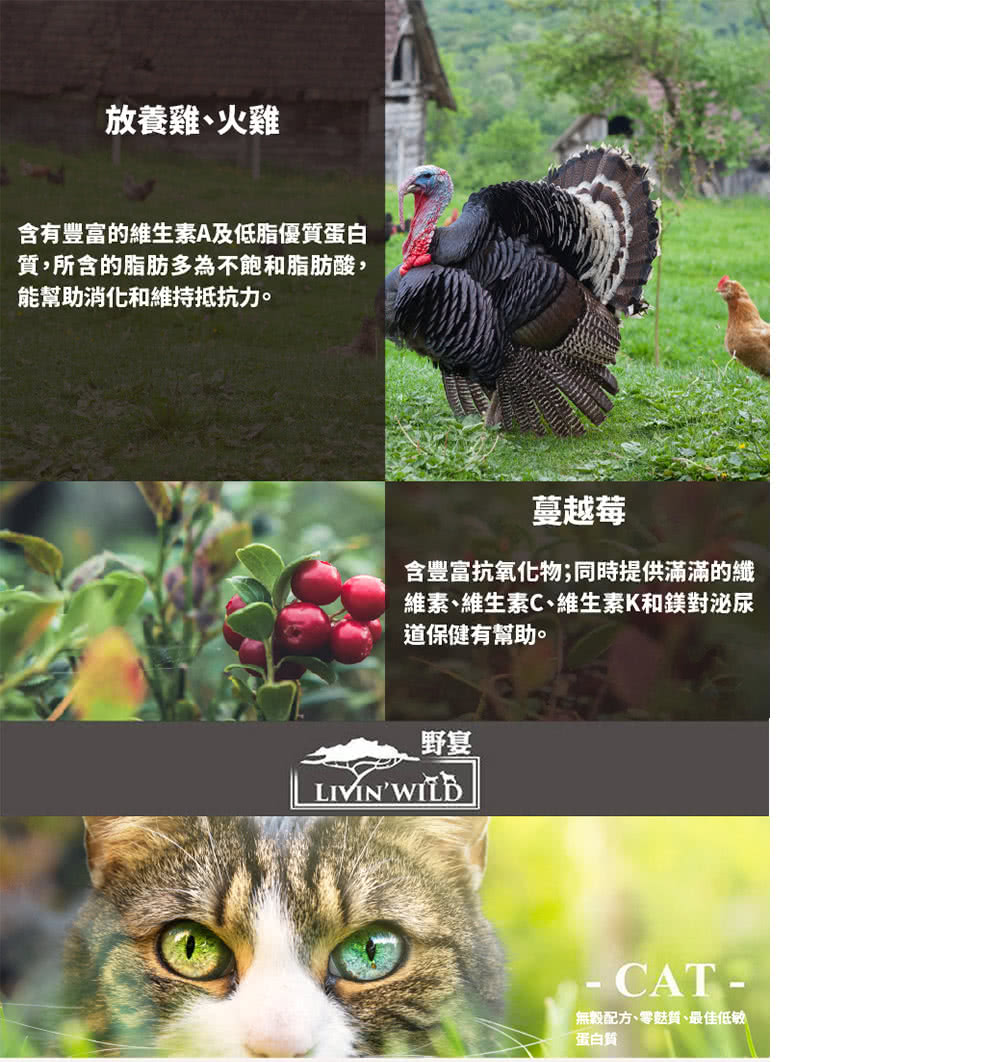Livin Wild野宴 全齡貓放養無穀配方1 81kg 野生帝王鮭魚 放養雞 火雞 草飼羊 野牧山羊 無穀貓飼料 Momo購物網