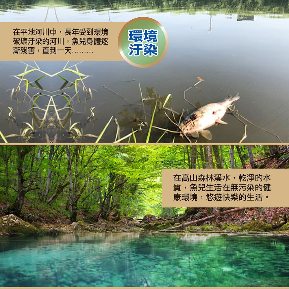 SABA SA-HX01 - 詳情14