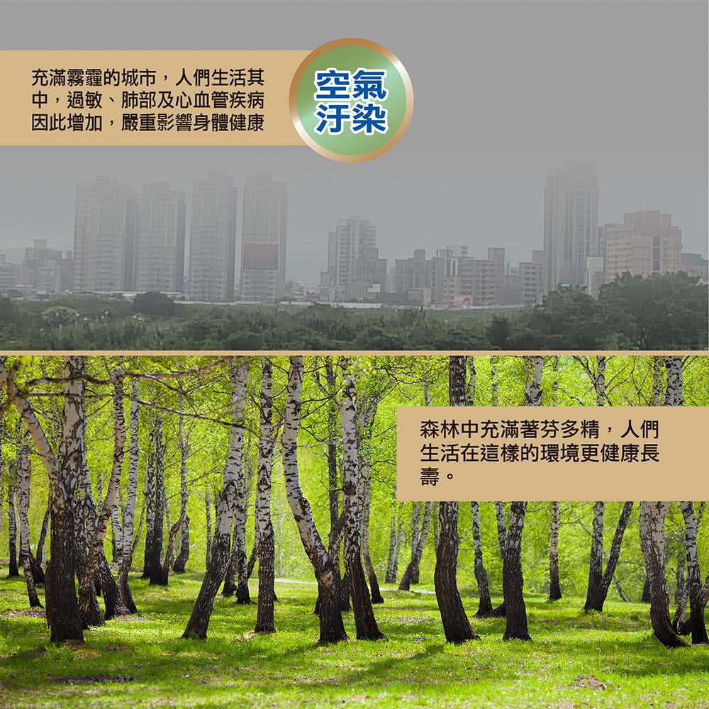 SABA SA-HX01 - 詳情15