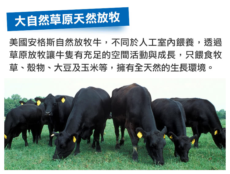大自然草原天然放牧 美國安格斯自然放牧牛,不同於人工室內餵養,透過 草原放牧讓牛隻有充足的空間活動與成長,只餵食牧 草、殼物、大豆及玉米等,擁有全天然的生長環境。 