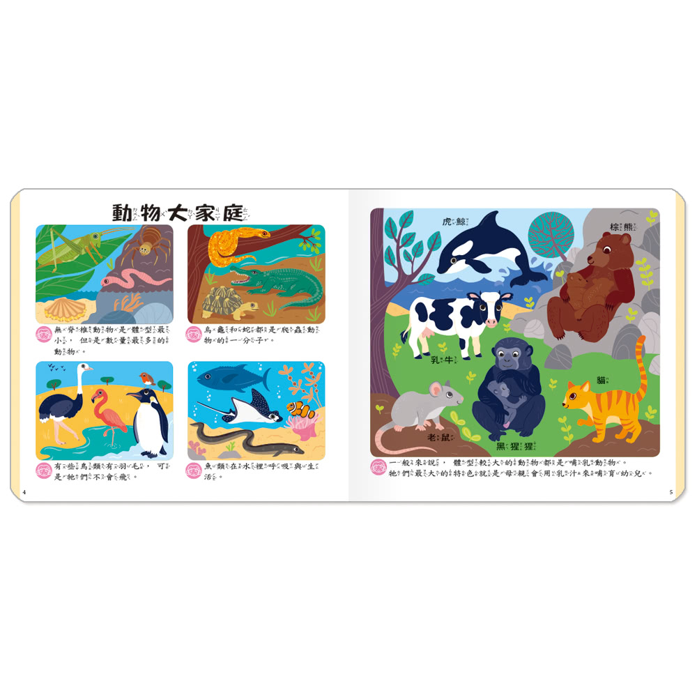 世一 動物酷知識 小小孩最愛看百科書 Momo購物網