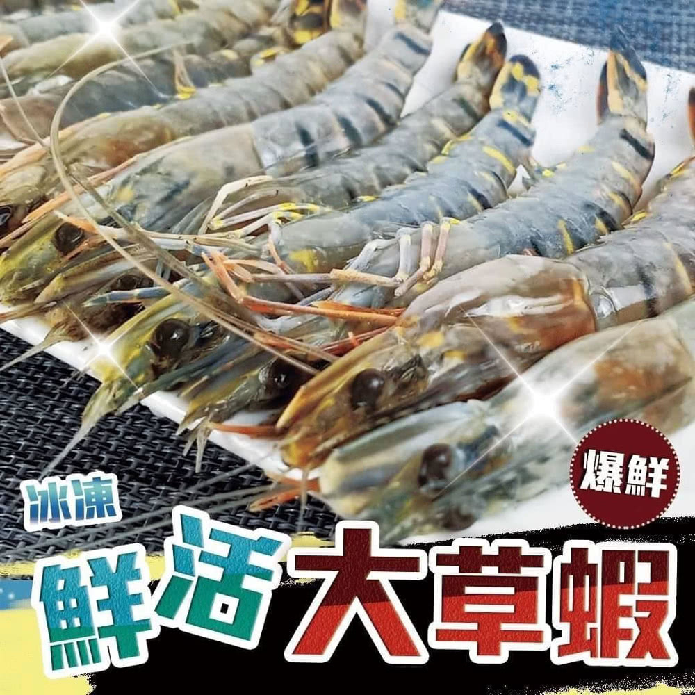 冰腻 爆鮮 鮮活大草蝦 