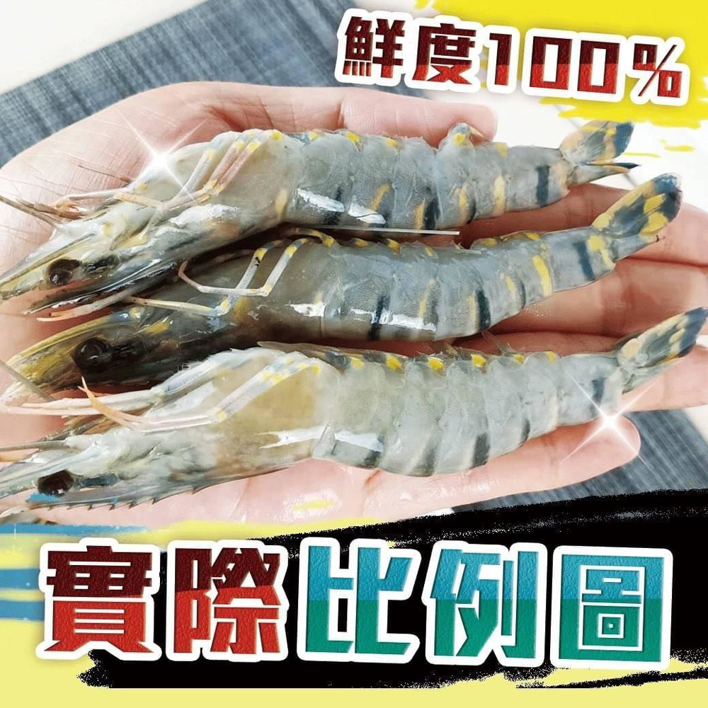 鮮度100% 實際比例圖 