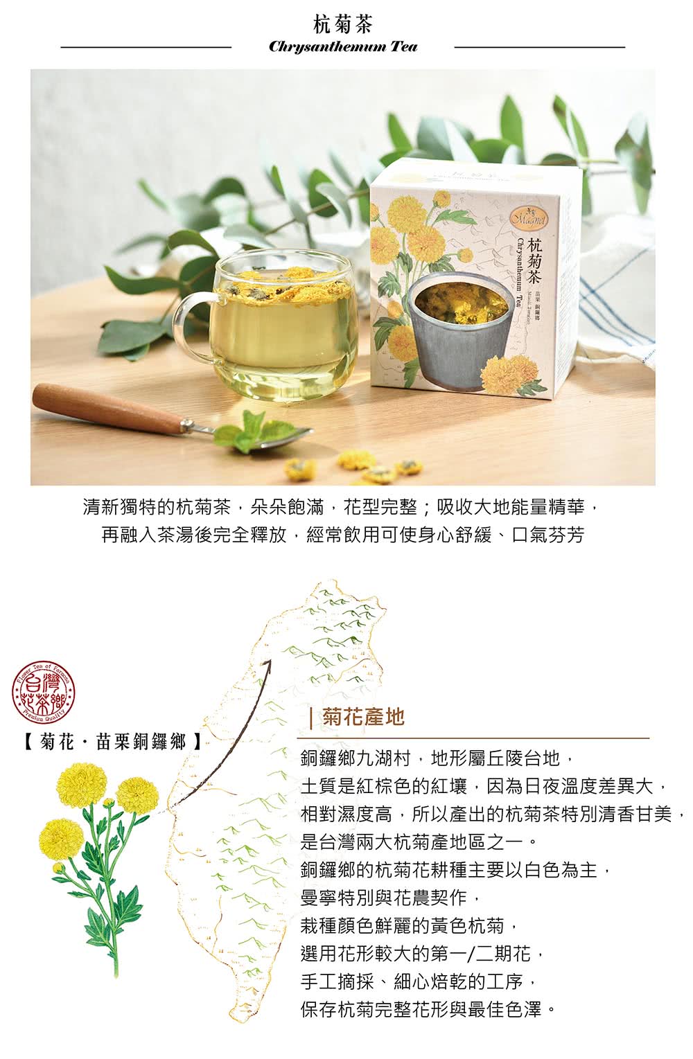 清新獨特的杭菊茶,朵朵飽滿,花型完整吸收大地能量精華,