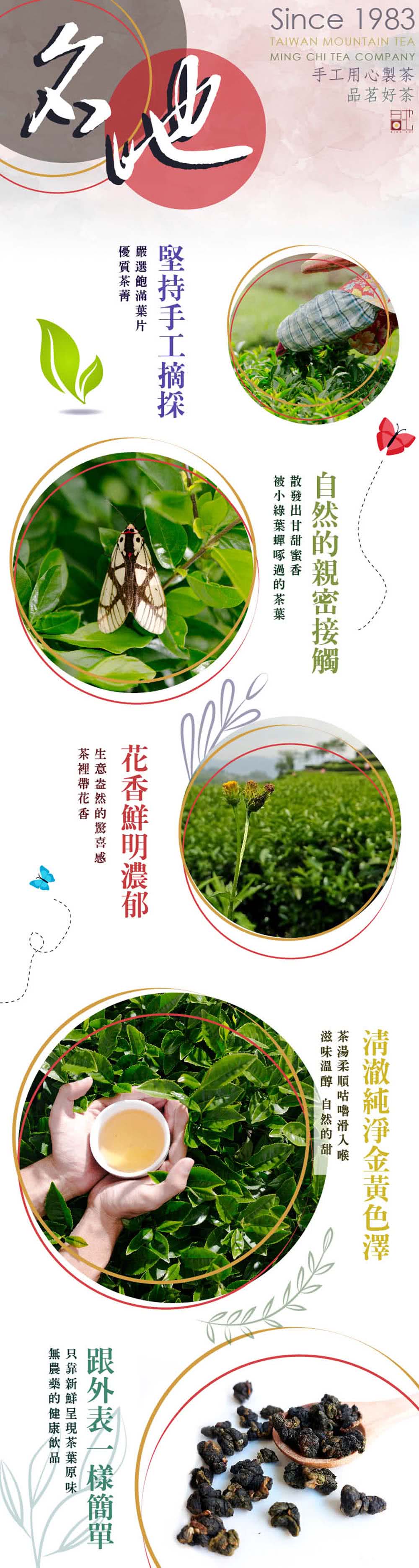 momo購物網推薦的【名池茶業】當季冬茶u2027 綻果燦韻梨山合歡高冷烏龍茶葉 