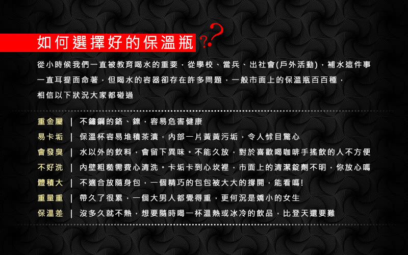 Austinshine 德化龍潯骨瓷保溫杯320ml 2入組 Momo購物網