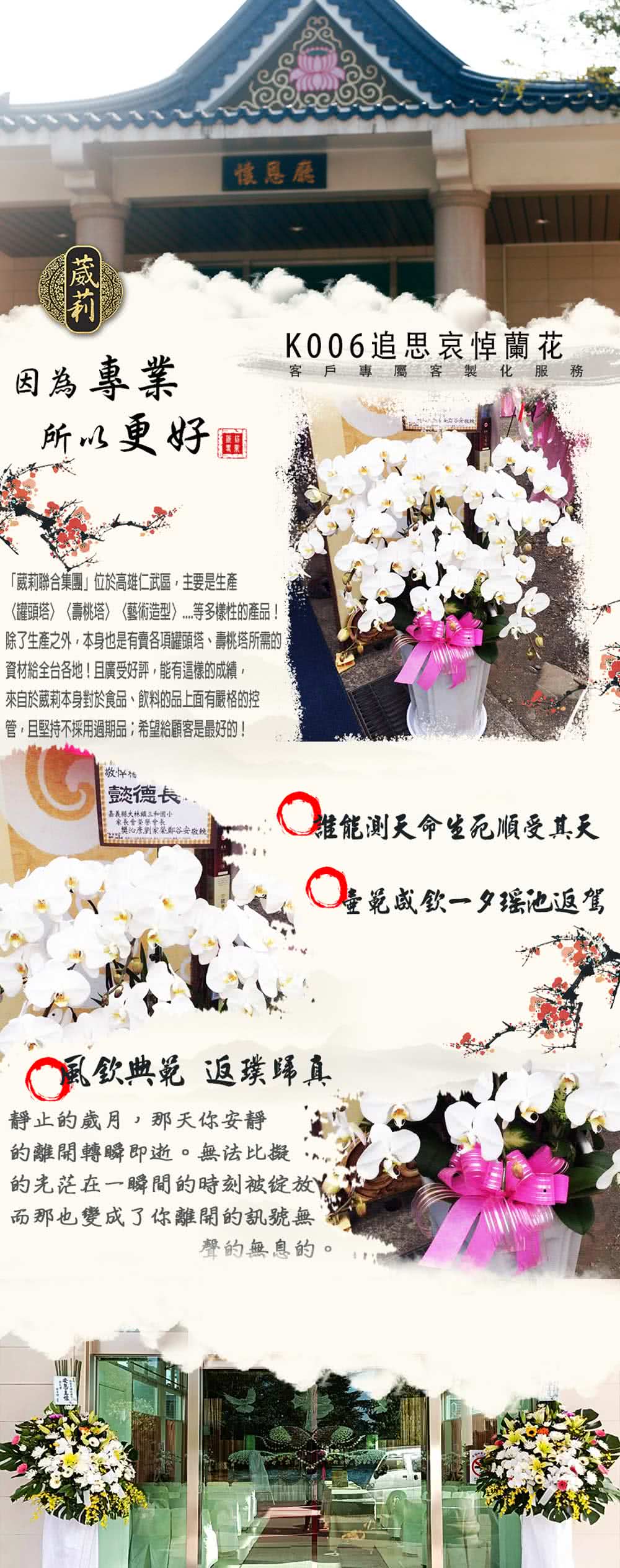 葳莉 客製化喪禮告別式致喪追思哀悼蘭花 K006 一盆 Momo購物網
