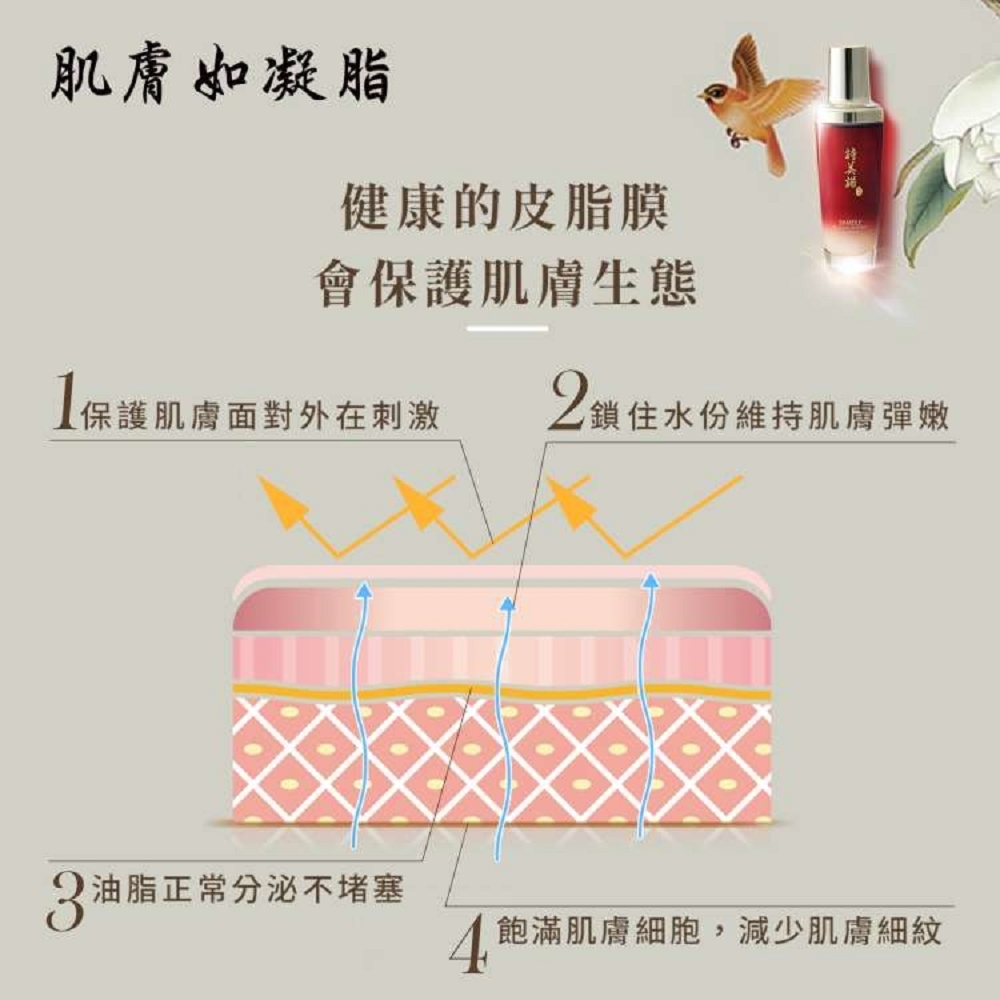 1飽滿肌膚細胞,減少肌膚細紋