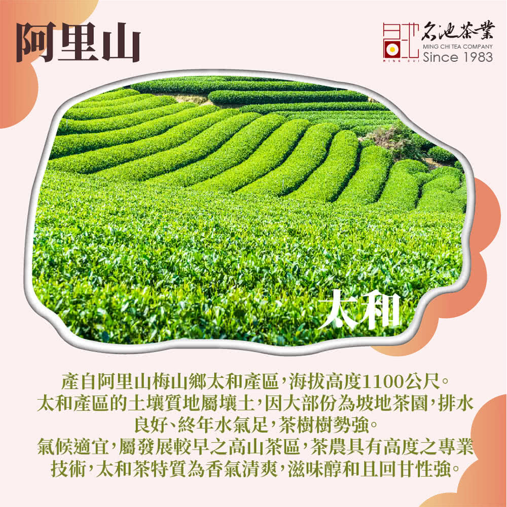 太和產區的土壤質地屬壤土,因大部份為坡地茶園,排水