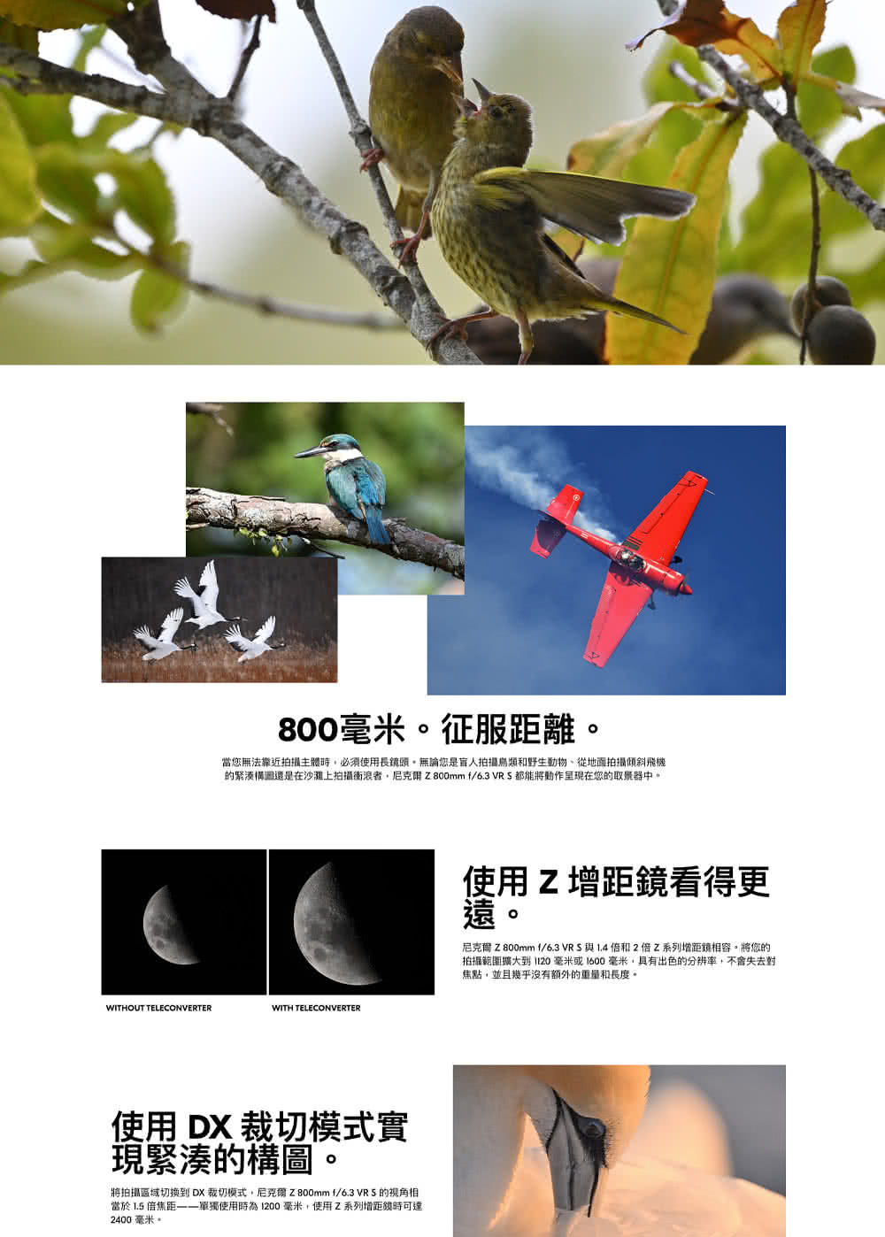 Nikon尼康 Z 800mm F/6.3 VR S - 詳情7