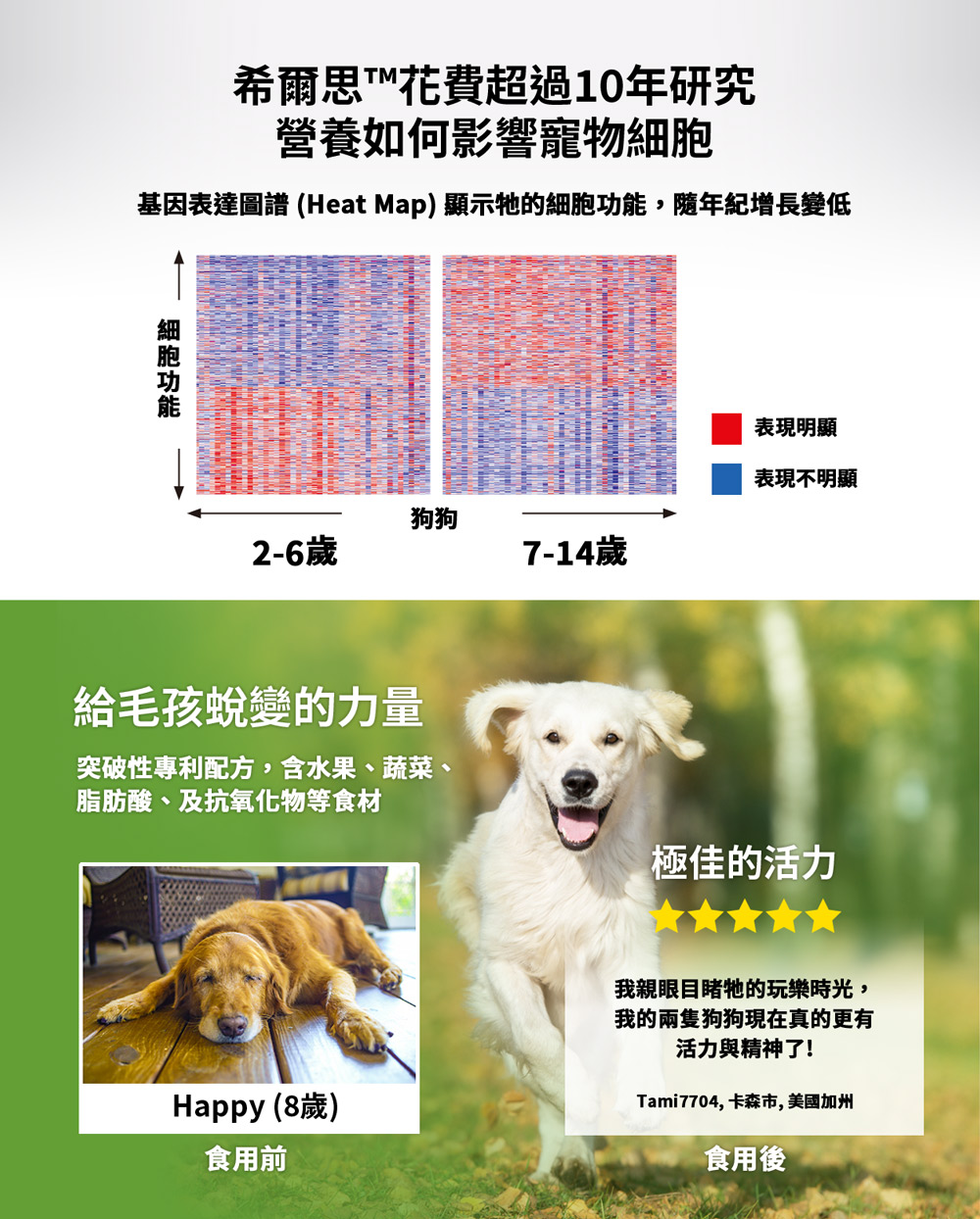 基因表達圖譜 Heat Map 顯示牠的細胞功能,隨年紀增長變低