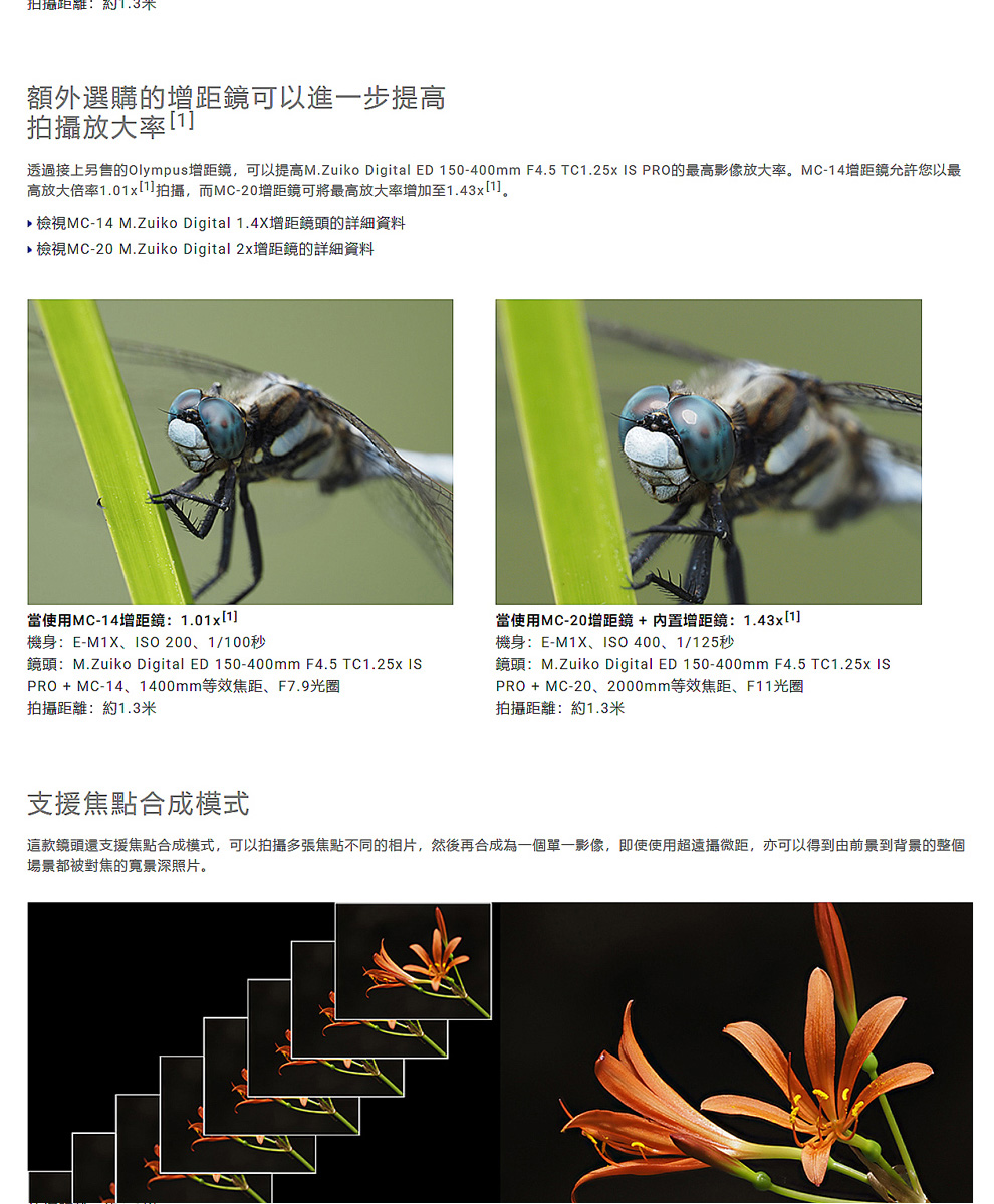 OLYMPUS奧林巴斯 M.ZUIKO DIGITAL ED 150-400mm F/4.5 TC1.25x IS PRO - 詳情6