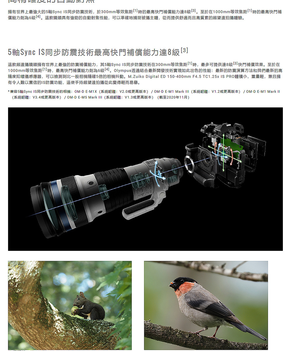 OLYMPUS奧林巴斯 M.ZUIKO DIGITAL ED 150-400mm F/4.5 TC1.25x IS PRO - 詳情13