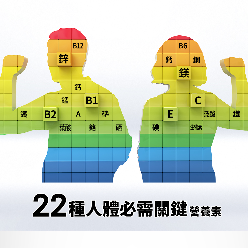 22種人體必需關鍵營養素
