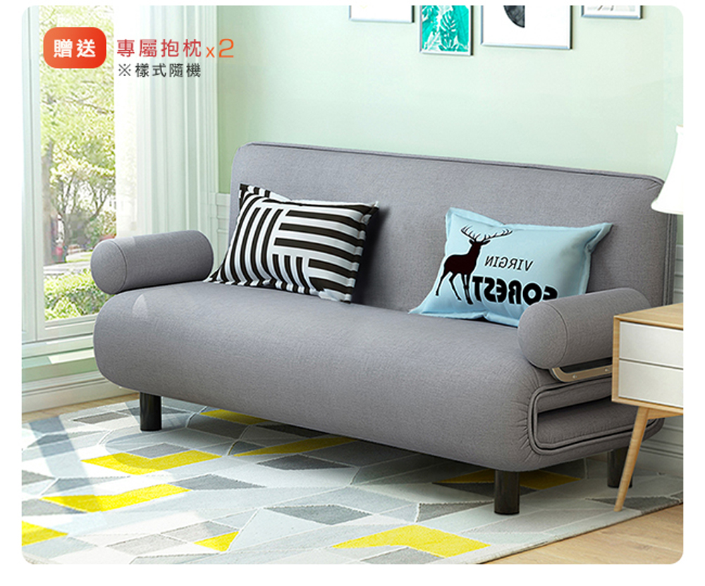 贈送專屬抱枕x2 樣式隨機 