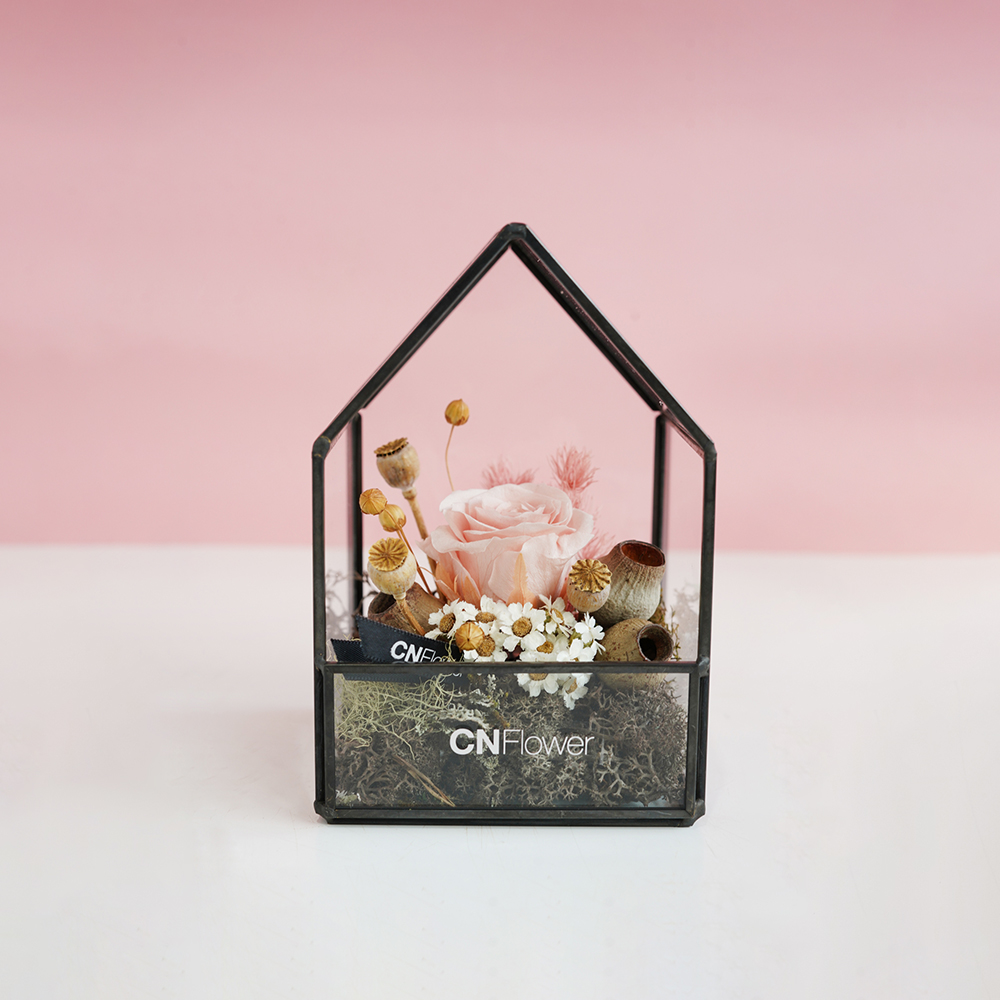 送禮 買花 恆星花 花禮 永生花 Cnflower 西恩