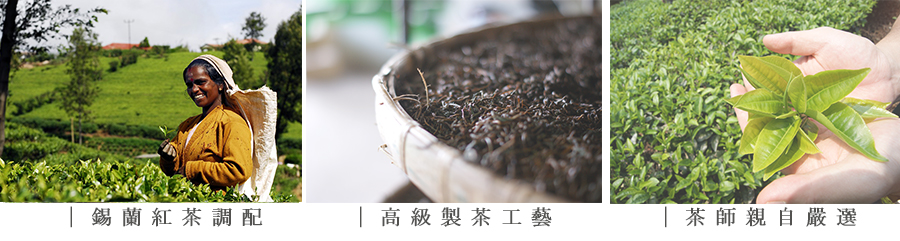 錫蘭紅茶調配 高級製茶工藝 茶師親自嚴選 