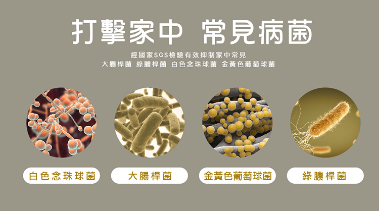 大腸桿菌 綠膿桿菌 白色念珠球菌 金黃色葡萄球菌