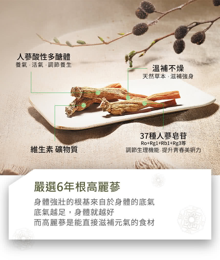 身體強壯的根基來自於身體的底氣