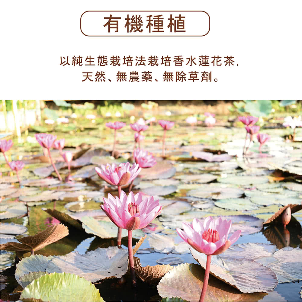 商品影片 方菩提fun Bodhi 66 Subscribers Subscribe 方菩提fun Bodhi 品牌形象 Watch Later Share Copy Link Info Shopping Tap To Unmute More Videos More Videos Your Browser Can T Play This Video Learn More More Videos On Youtube Share Include