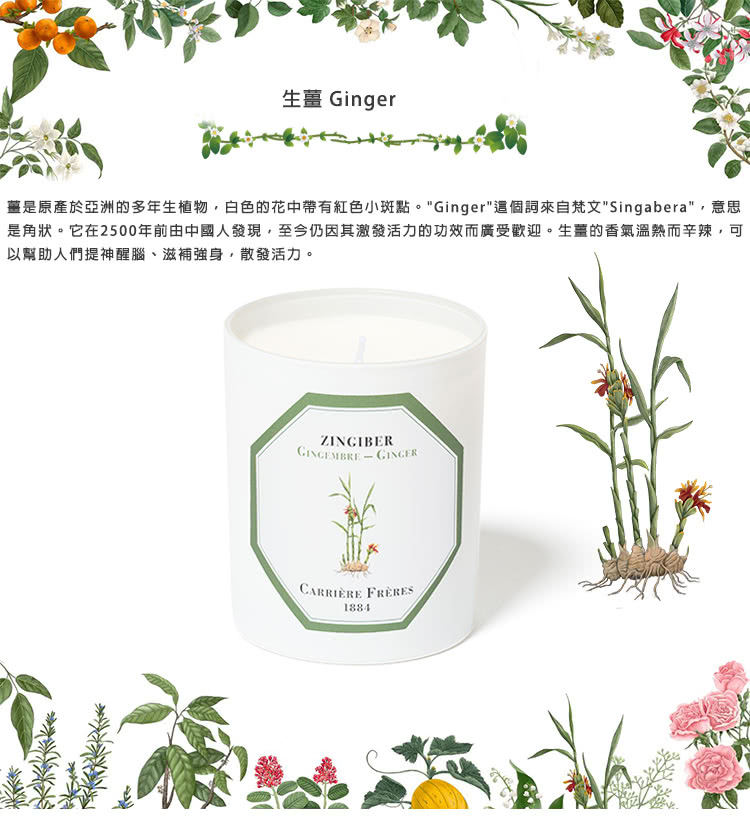 生薑 Ginger 墓是原產於亞洲的多年生植物,白色的花中帶有紅色小斑點。Ginger這個詞來自梵文Singabera,意思 是角狀。它在2500年前由中國人發現,至今仍因其激發活力的功效而廣受歡迎。生薑的香氣溫熟而辛辣,可 以幫助人們提神醒腦、滋補強身,散發活力。 
